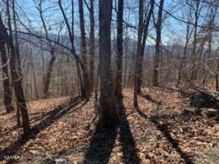 114E Settlers View Ln, Sevierville, TN 37876