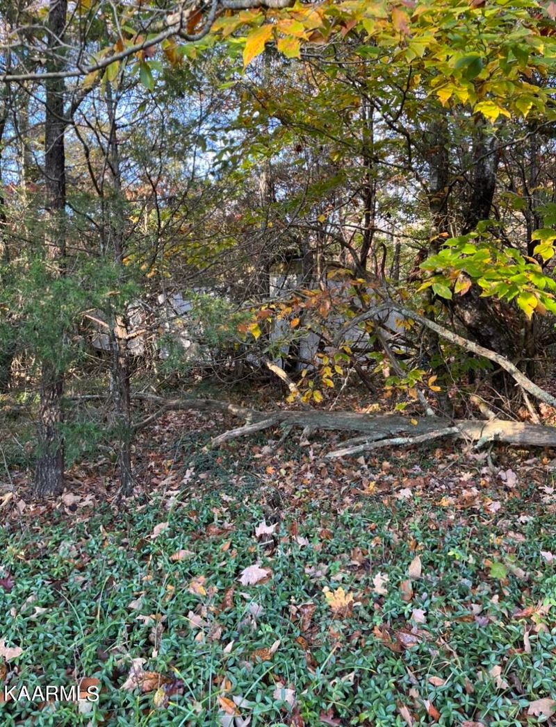 115 Bateman Ln, Loudon, TN 37774