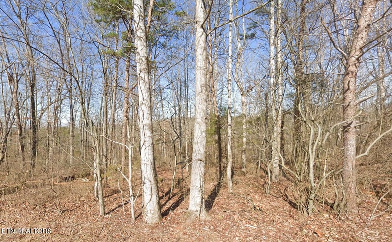 115 Chanusi Way, Loudon, TN 37774