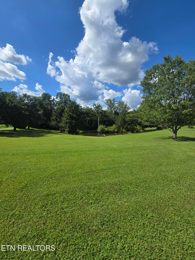 115 Cherry St, Deer Lodge, TN 37726