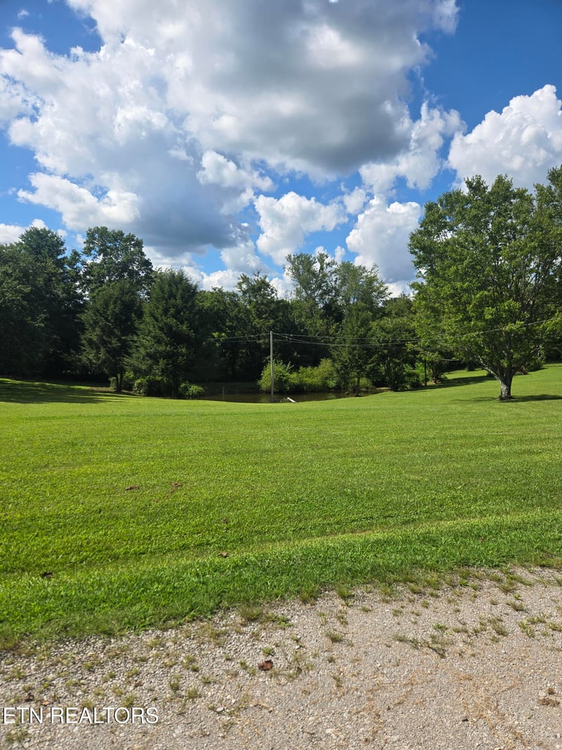 115 Cherry St, Deer Lodge, TN 37726