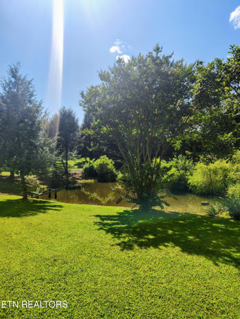 115 Cherry St, Deer Lodge, TN 37726