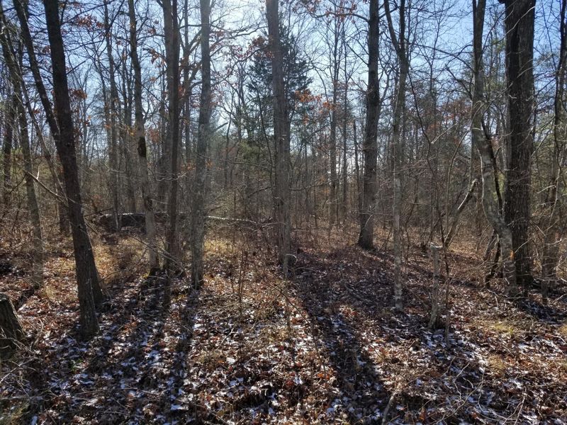 115 Flathead Cir, Crossville, TN 38572