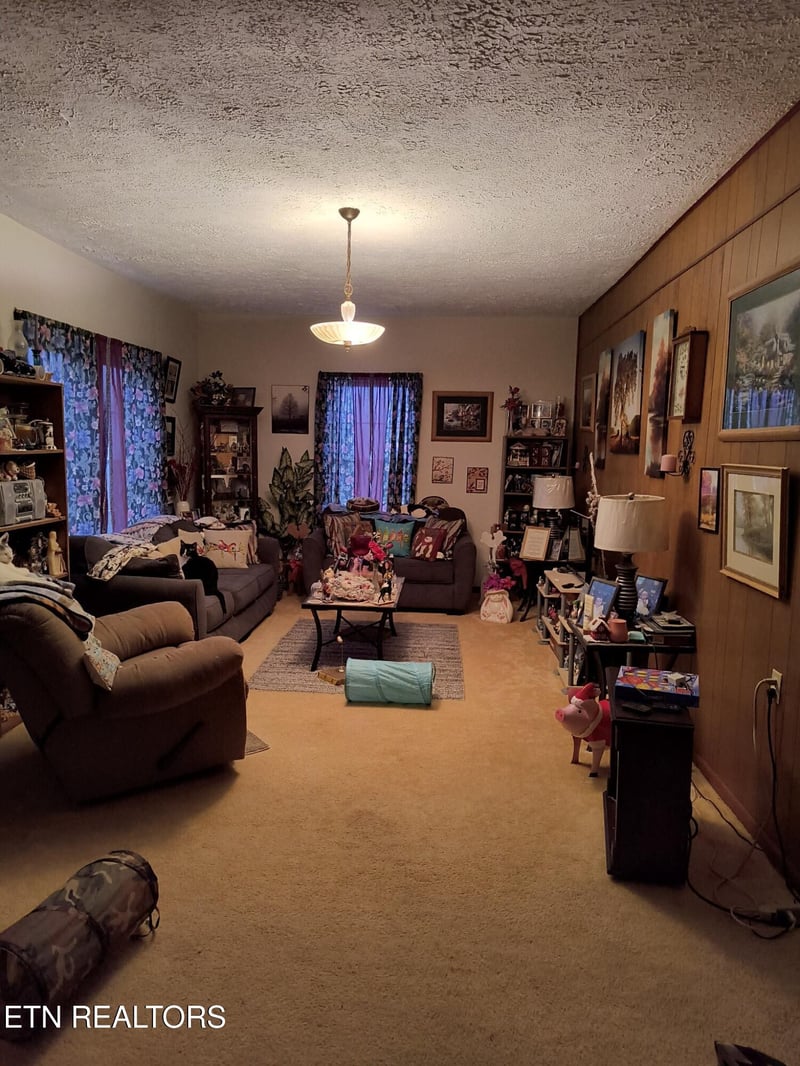 115 Flatview Dr, Speedwell, TN 37870