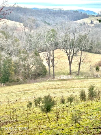 115 Flatview Dr, Speedwell, TN 37870
