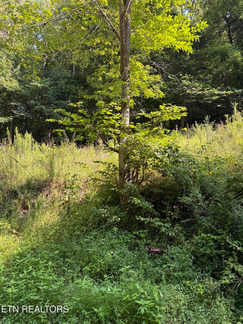 115 Hughes Hollow Rd, Philadelphia, TN 37846