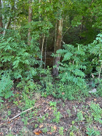 115 Hughes Hollow Rd, Philadelphia, TN 37846