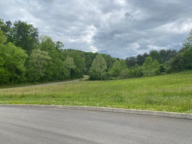 115 Hughes Rd, Greenback, TN 37742