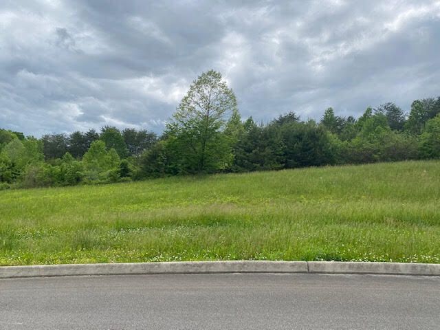 115 Hughes Rd, Greenback, TN 37742