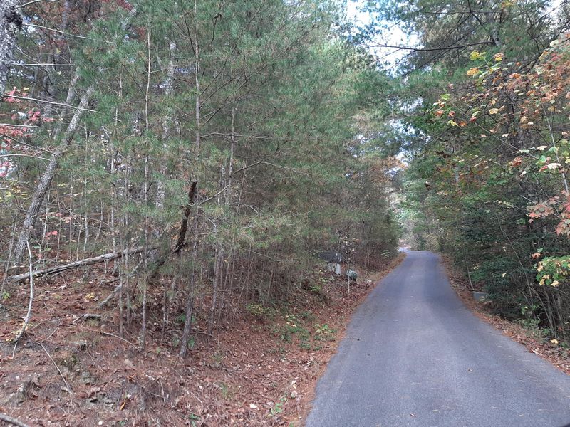 115 Le Conte View Ln, Townsend, TN 37882