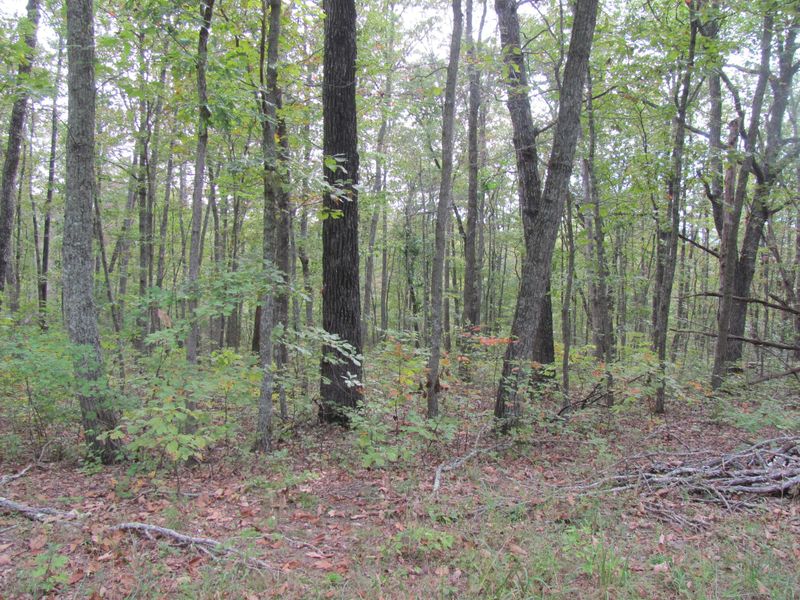 115 Liverpool Cir, Fairfield Glade, TN 38558