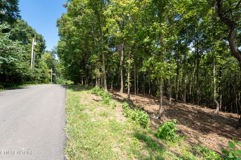 115 Pinecrest Dr, Loudon, TN 37774
