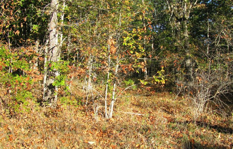 115 Trafalgar Dr, Fairfield Glade, TN 38558