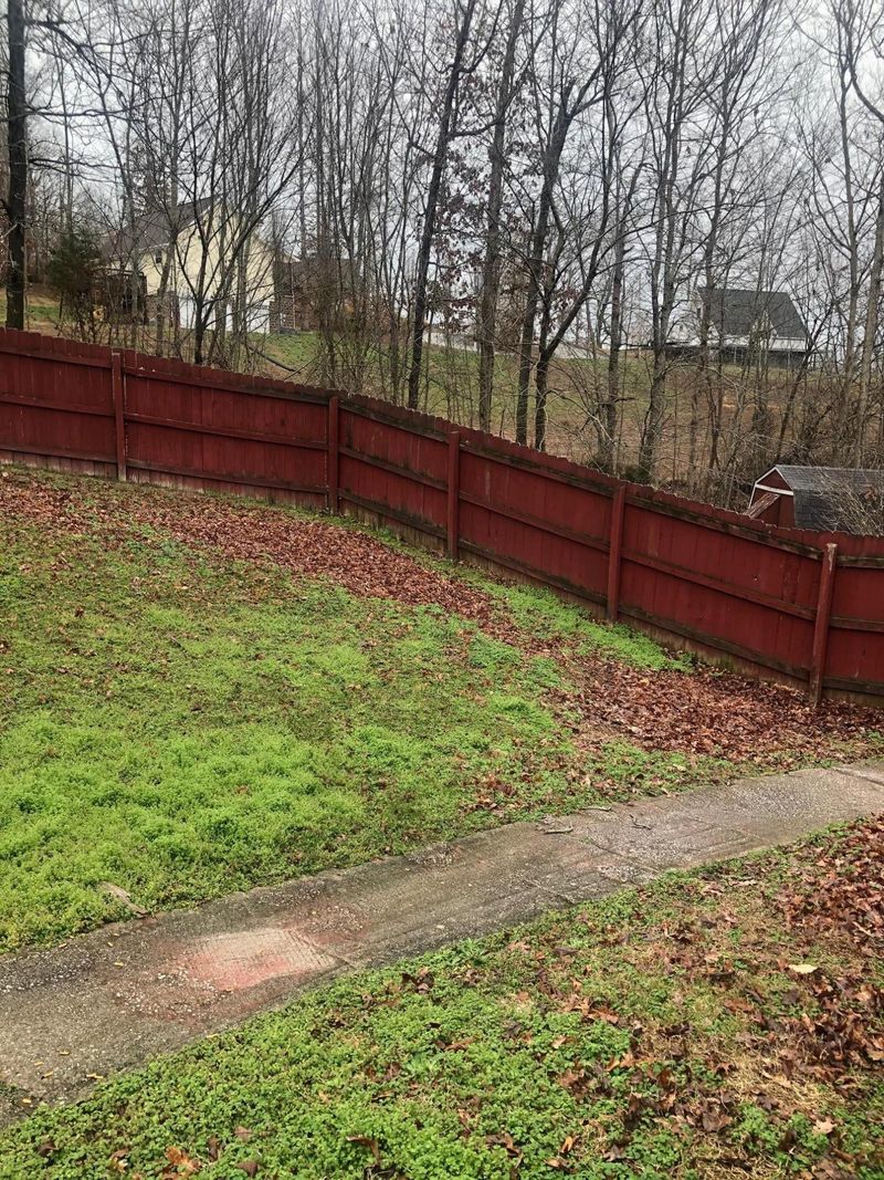 11500 Lakeshore Dr, Rutledge, TN 37861