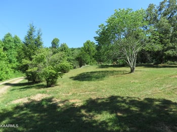 11505 Yarnell Rd, Knoxville, TN 37932