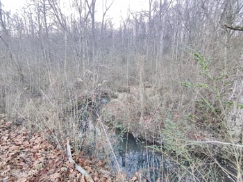 1152 Rifle Range Dr, Knoxville, TN 37918