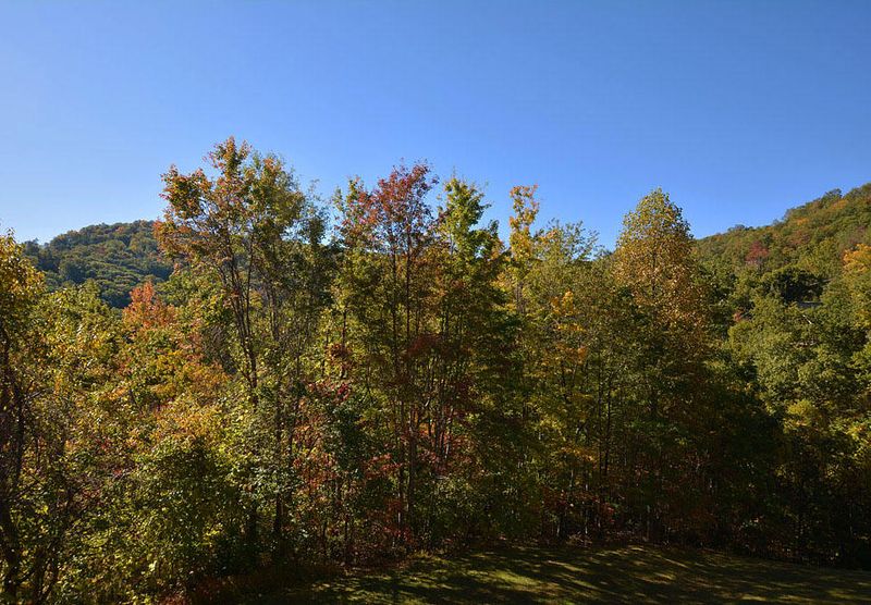 1155 Upper Alpine Way #202, Gatlinburg, TN 37738