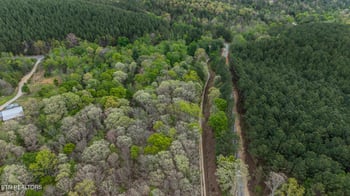1155 Womac Hollow Rd, Ten Mile, TN 37880
