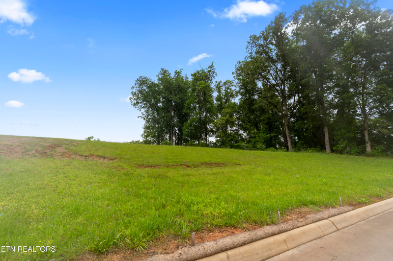 1157 Houston Springs Rd, Greenback, TN 37742