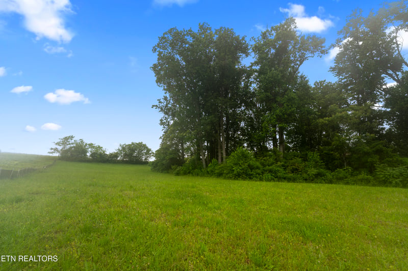1157 Houston Springs Rd, Greenback, TN 37742