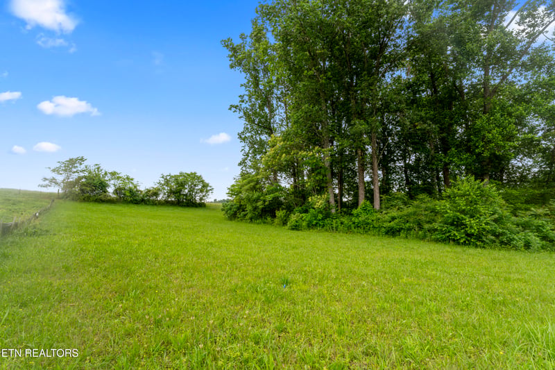 1157 Houston Springs Rd, Greenback, TN 37742