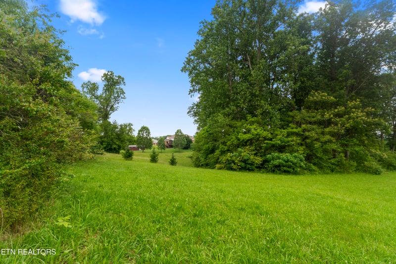 1157 Houston Springs Rd, Greenback, TN 37742