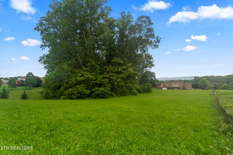 1157 Houston Springs Rd, Greenback, TN 37742