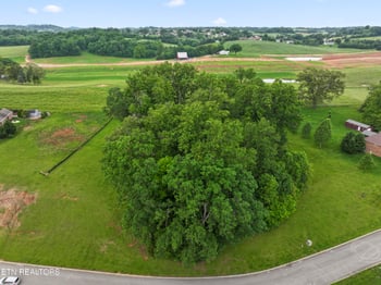 1157 Houston Springs Rd, Greenback, TN 37742