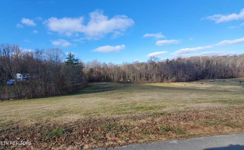 1159 Morgan Rd, Rutledge, TN 37861