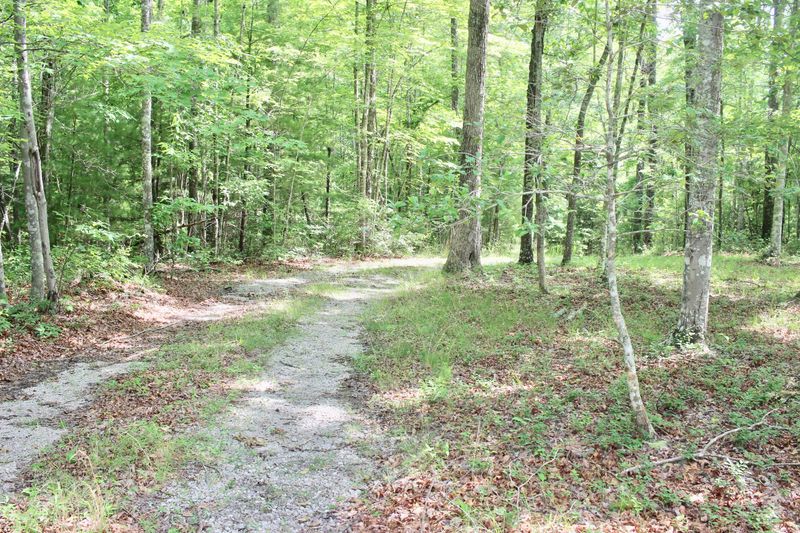 1159 Wilderness Tr, Oneida, TN 37841