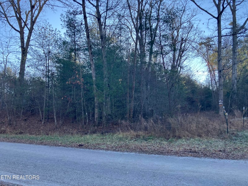 116 Ernie Hurst Rd, Deer Lodge, TN 37726