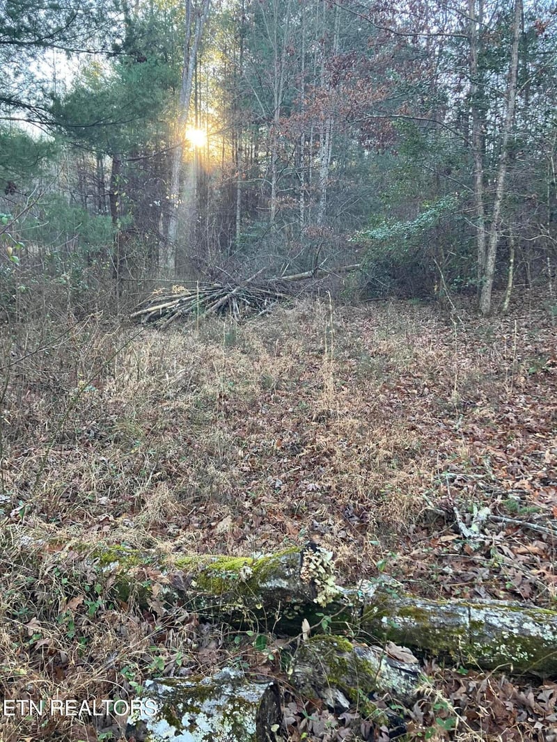 116 Ernie Hurst Rd, Deer Lodge, TN 37726