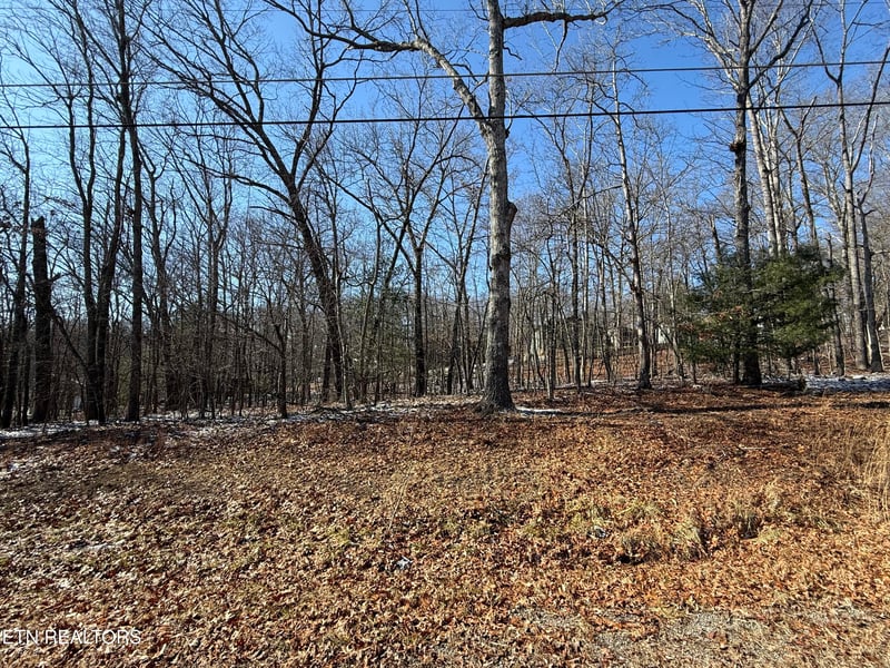 116 Kings Down Dr, Crossville, TN 38558