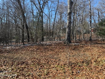 116 Kings Down Dr, Crossville, TN 38558