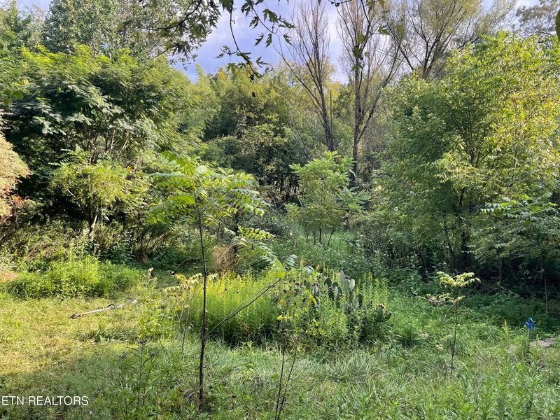 116 Lovin Farm Ln, Vonore, TN 37885