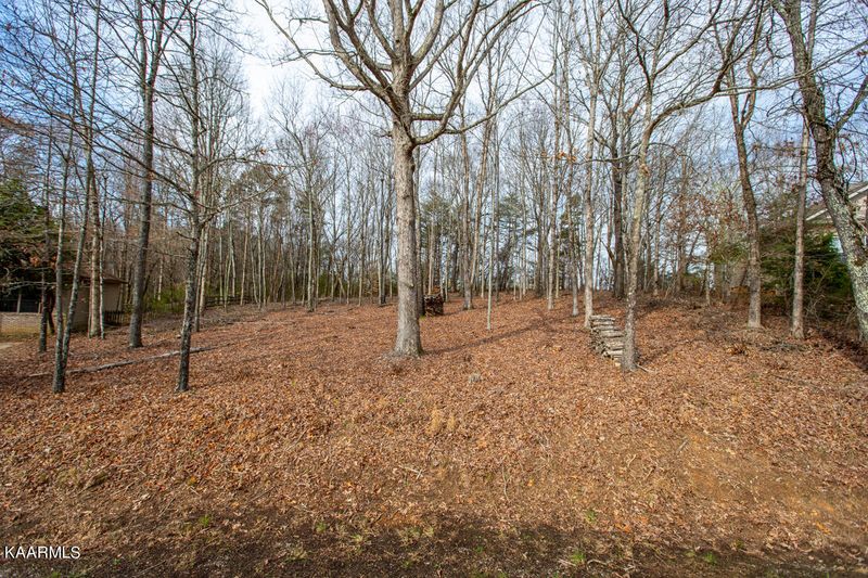 116 Nunyu Tr, Vonore, TN 37885