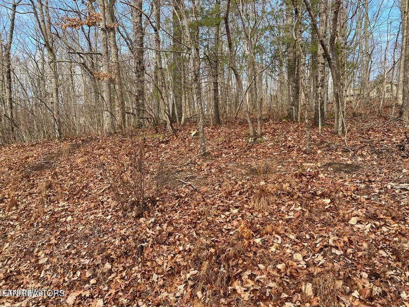 116 Overlook Cv, Crossville, TN 38558