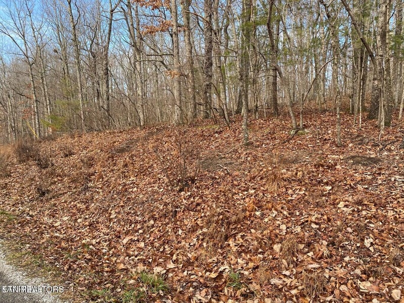 116 Overlook Cv, Crossville, TN 38558