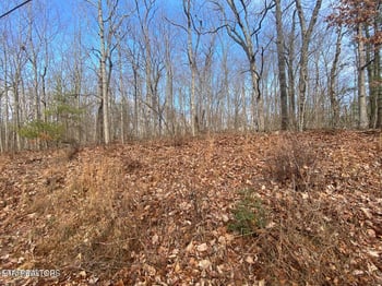 116 Overlook Cv, Crossville, TN 38558