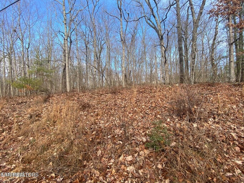 116 Overlook Cv, Crossville, TN 38558
