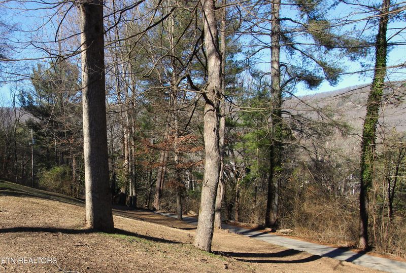 116 Windswept Ln, Harriman, TN 37748