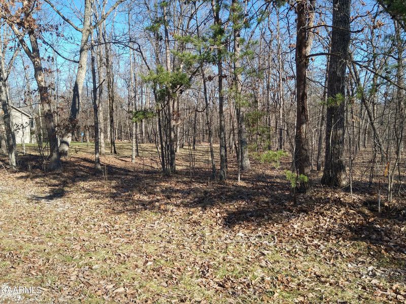 116 Wycliff Ln, Fairfield Glade, TN 38558