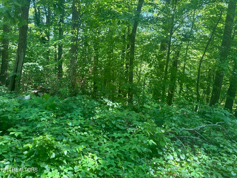 1160 Navy Drive Sw, Knoxville, TN 37920