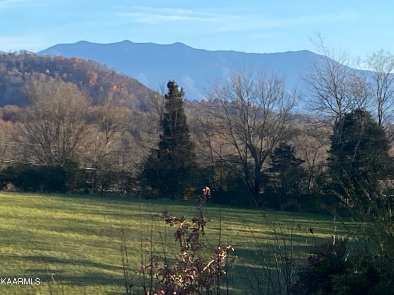 1161 S Fork Dr, Sevierville, TN 37862