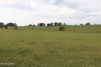 1163 County Road 461, Englewood, TN 37329