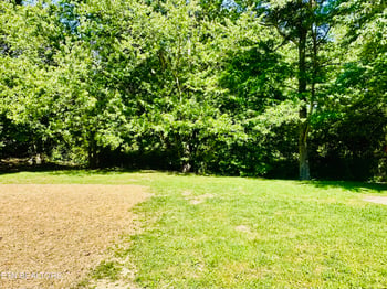 117 Coon Hunters Rd, Wartburg, TN 37887