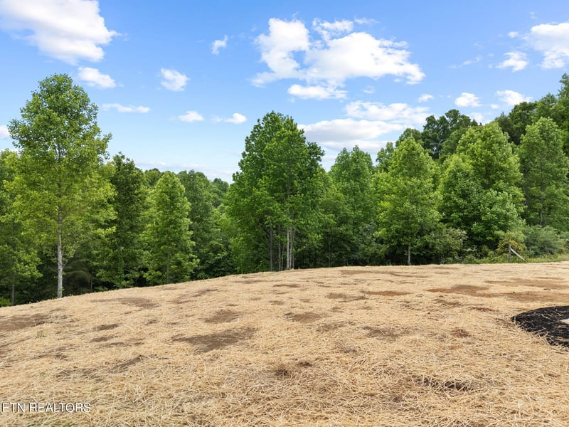 117 Delia Young Ln, Wartburg, TN 37887