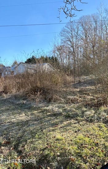 117 Hoskins Ln, Clinton, TN 37716