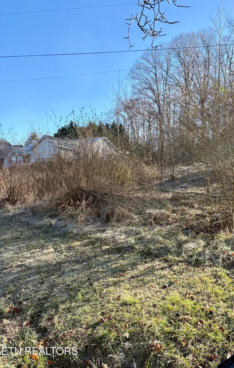 117 Hoskins Ln, Clinton, TN 37716