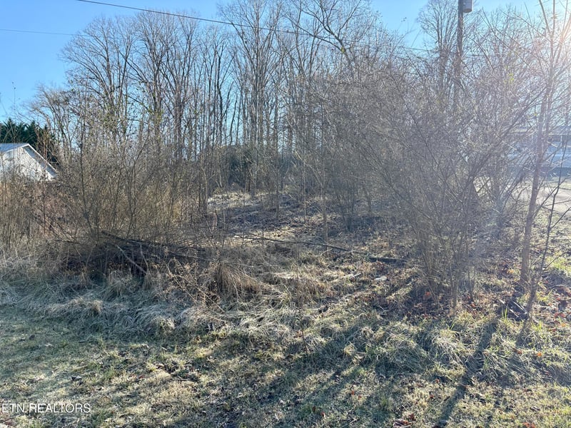 117 Hoskins Ln, Clinton, TN 37716